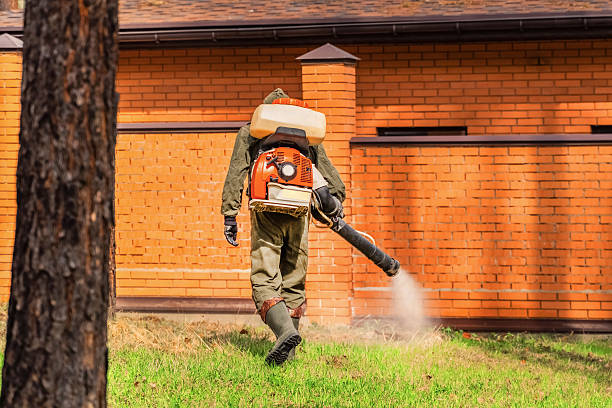 Trusted Cockroach Control service in Clendenin, WV - Nex Pest Control